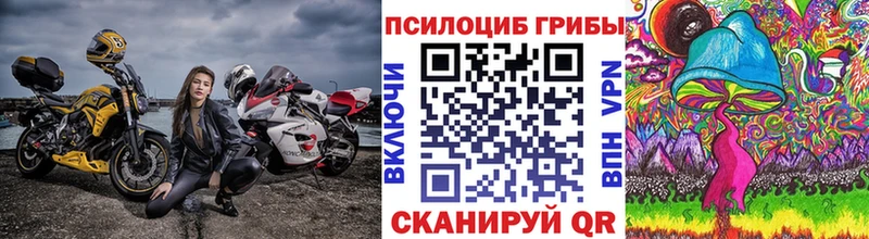 Псилоцибиновые грибы Psilocybine cubensis  Тында 